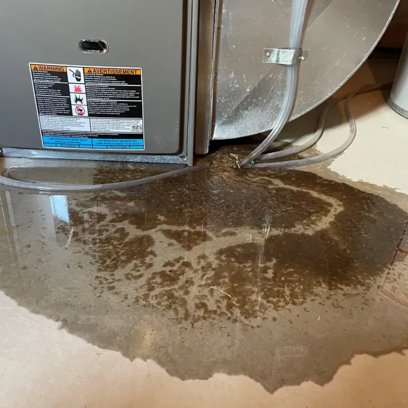 Appliance Leak Cleanup in Kaaawa, HI