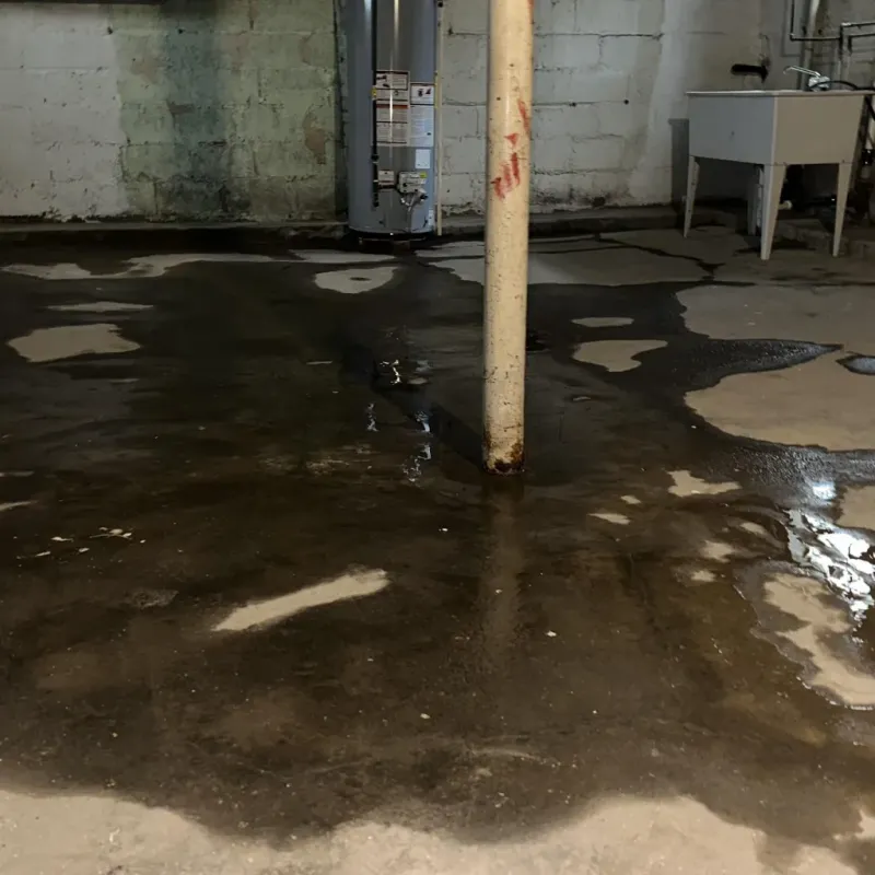 Emergency Water Extraction And Removal in Kaaawa, HI